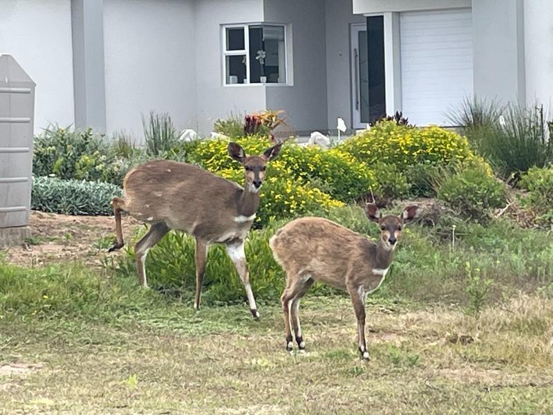 4 Bedroom Property for Sale in Pinnacle Point Golf Estate Western Cape